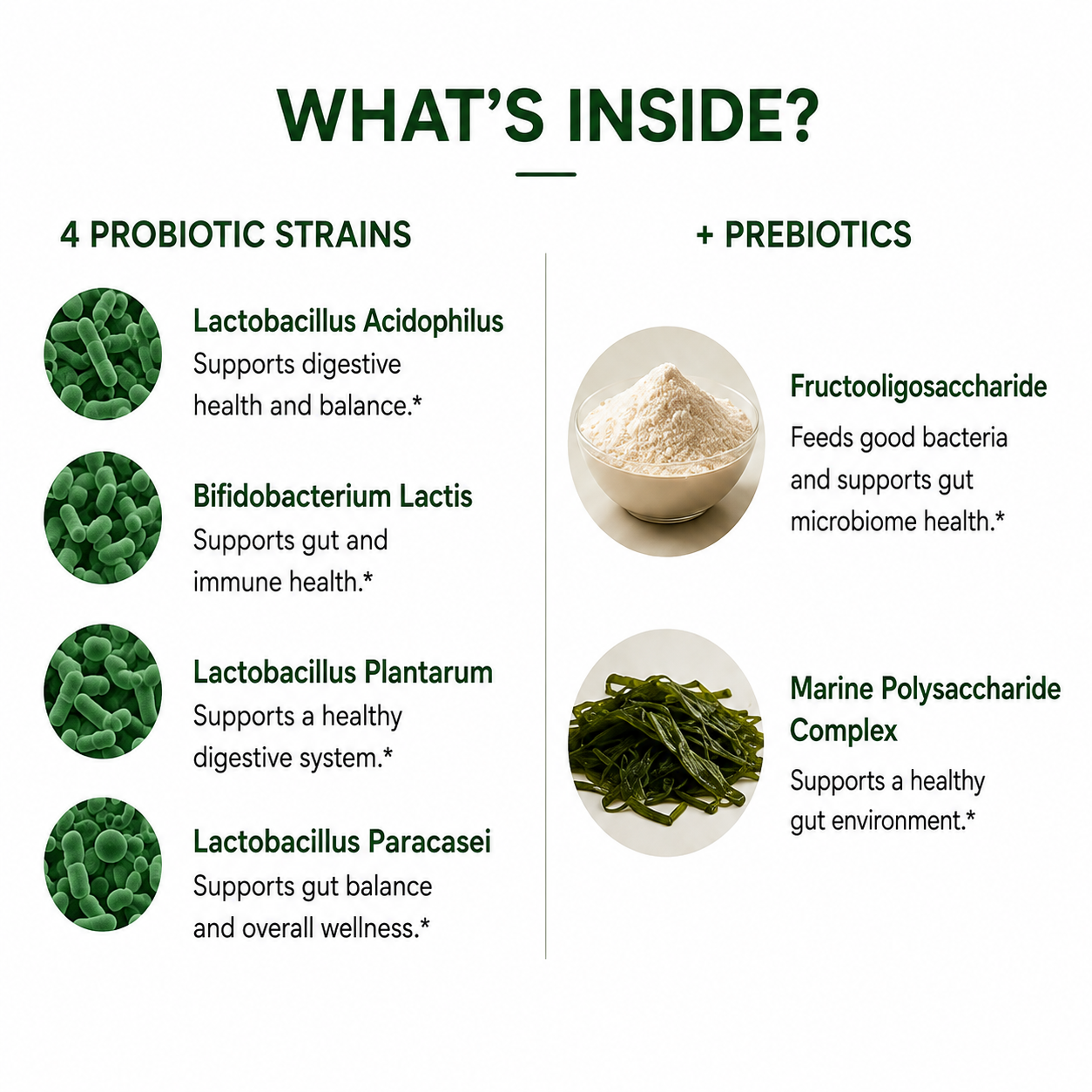 Probiotic with 4 strains and prebiotics – Lactobacillus and Bifidobacterium