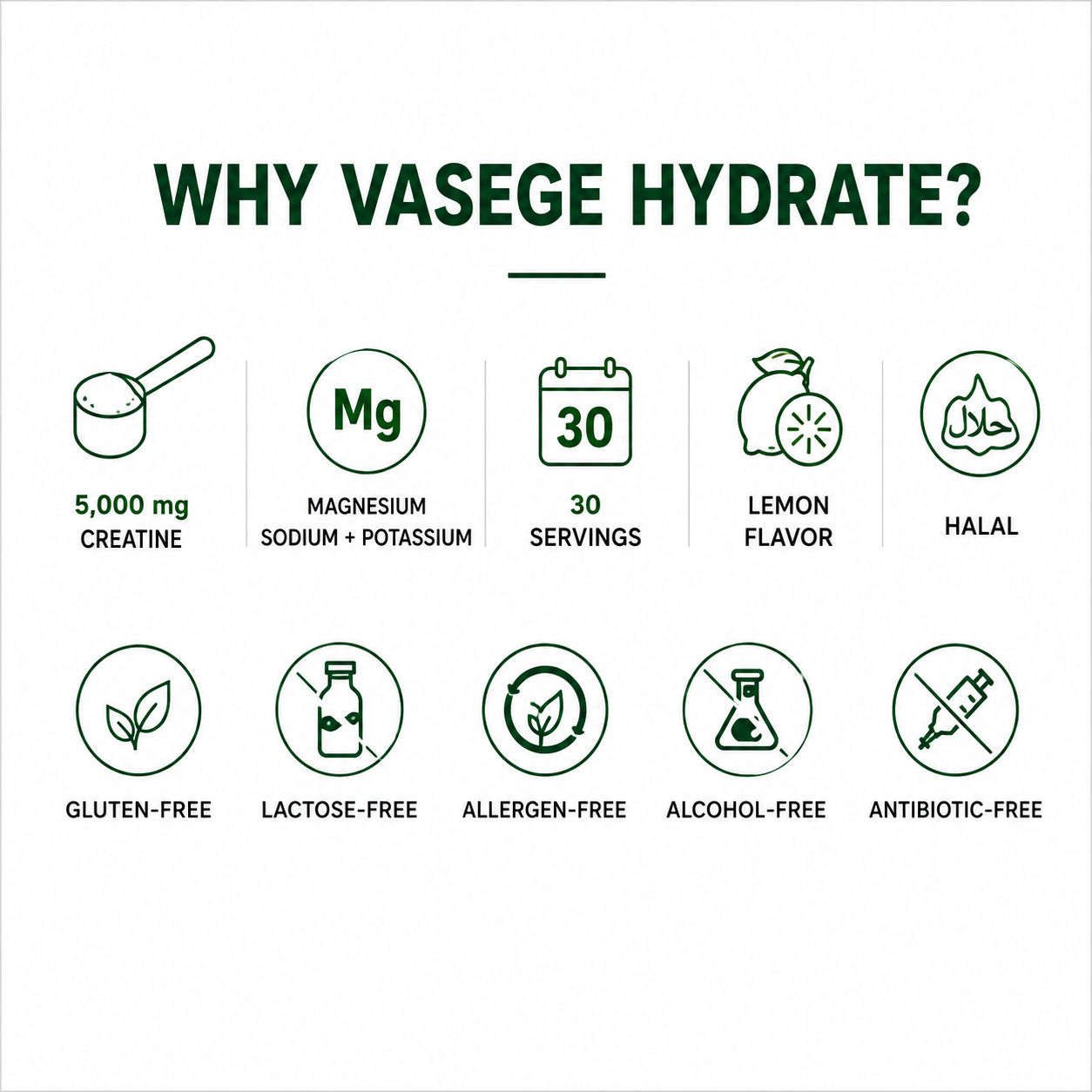 VASEGE HYDRATE creatine and electrolytes – product features and benefits