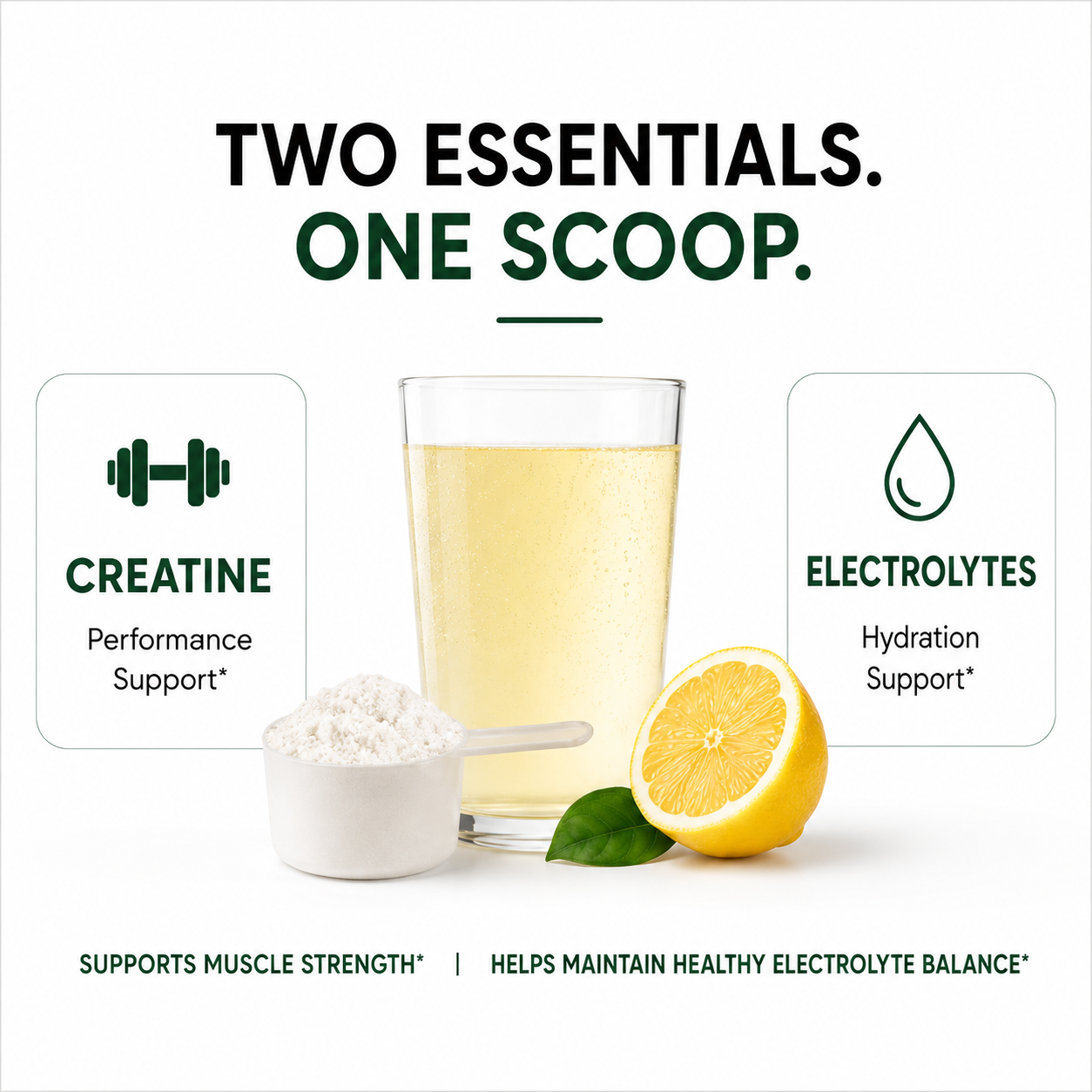 Creatine monohydrate and electrolytes in one daily scoop
